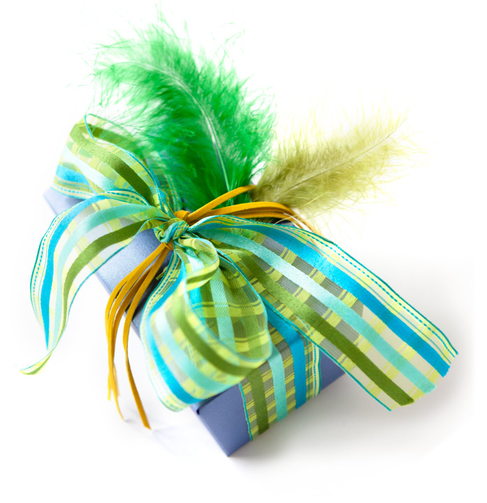 Packara ribbon with enkels feathers feather