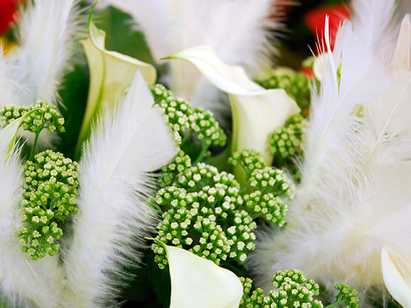 Feathers for wedding bouquets